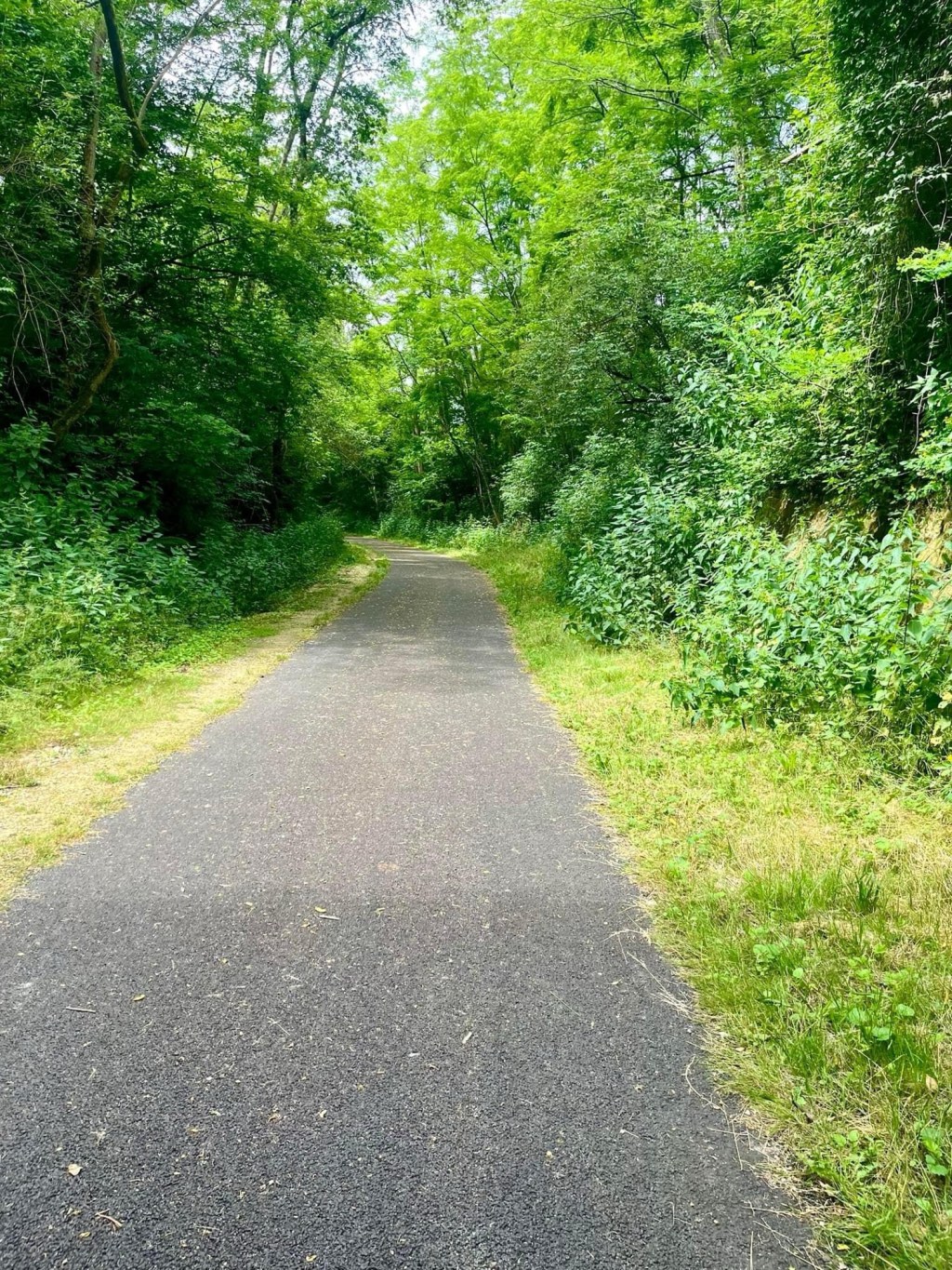 Via Podiensis – Day 25: Montreal-du-Gers to Eauze – 18.2km (Total:&nbsp;556kms).