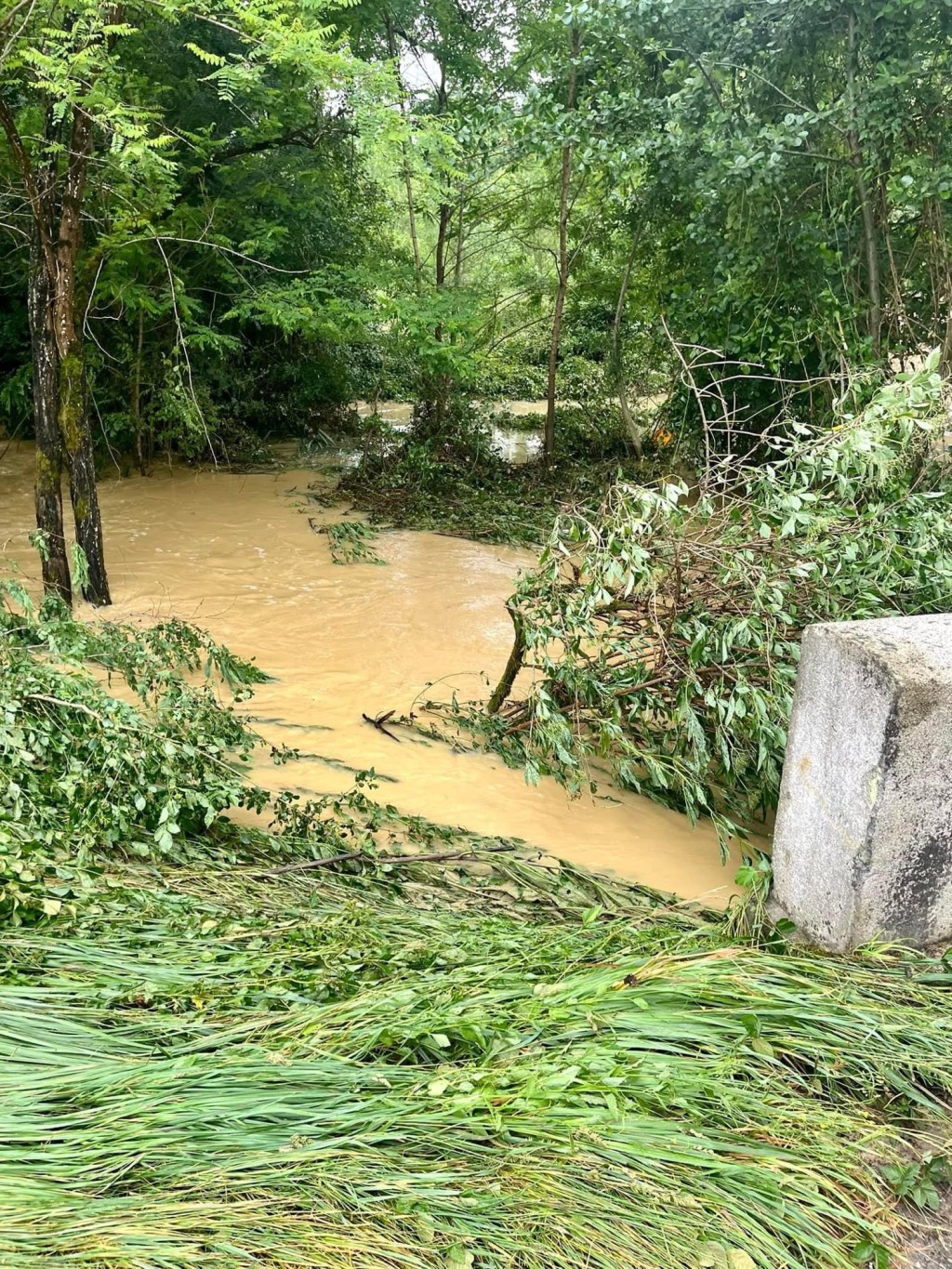 Via Podiensis – Day 26: Eauze to Nogaro – 18.6km (Total:&nbsp;575kms)