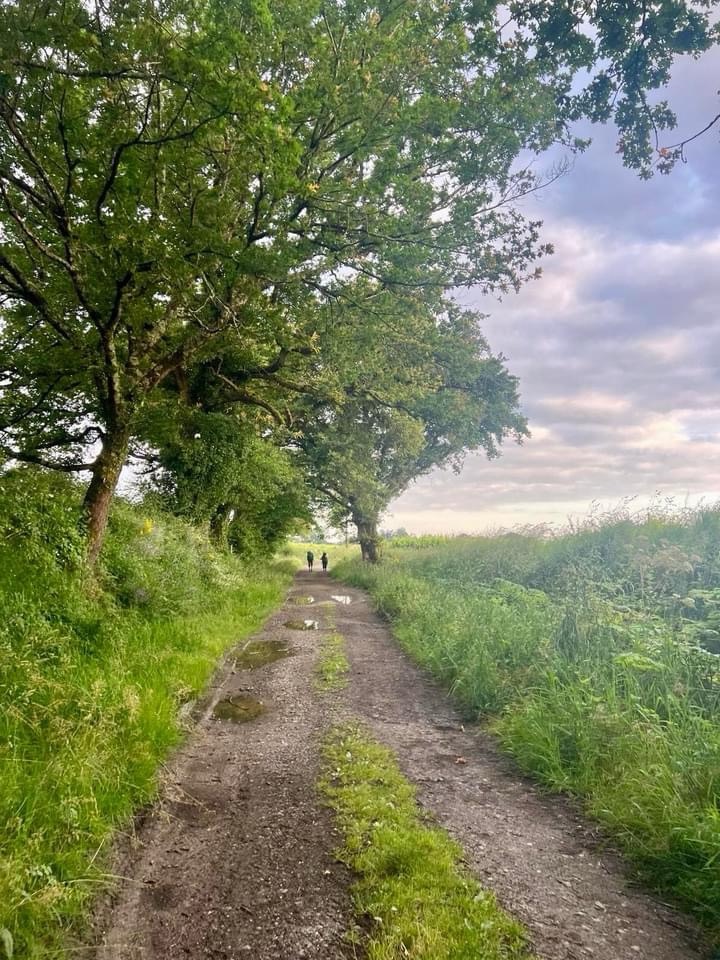 Via Podiensis – Day 27: Nogaro to Barcelonne-du-Gers – 25.6km (Total:&nbsp;600kms)